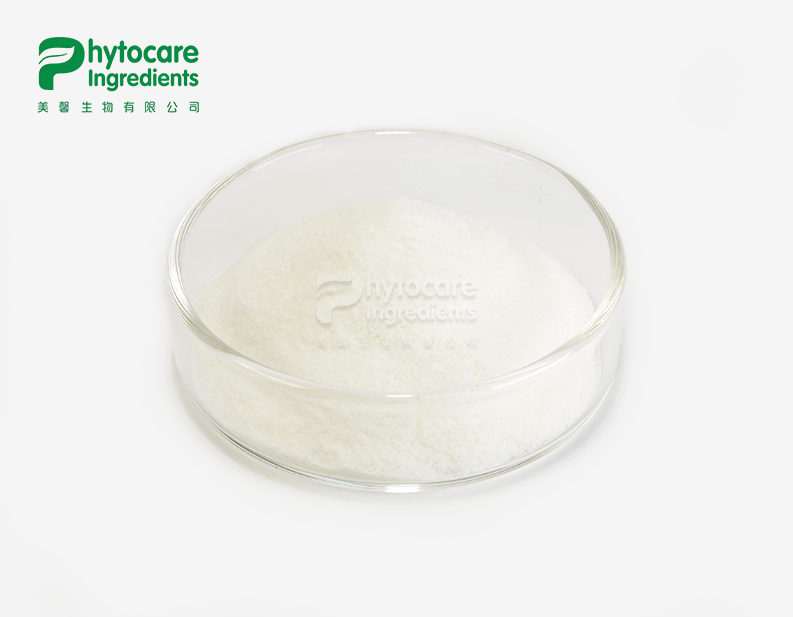Flax Seed Oil Powder